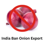 India Onion Export Ban… What Are The Implications?