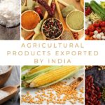 7 Top Agricultural Products Exported From India: A Land of Rich Flavors and Diverse Produce