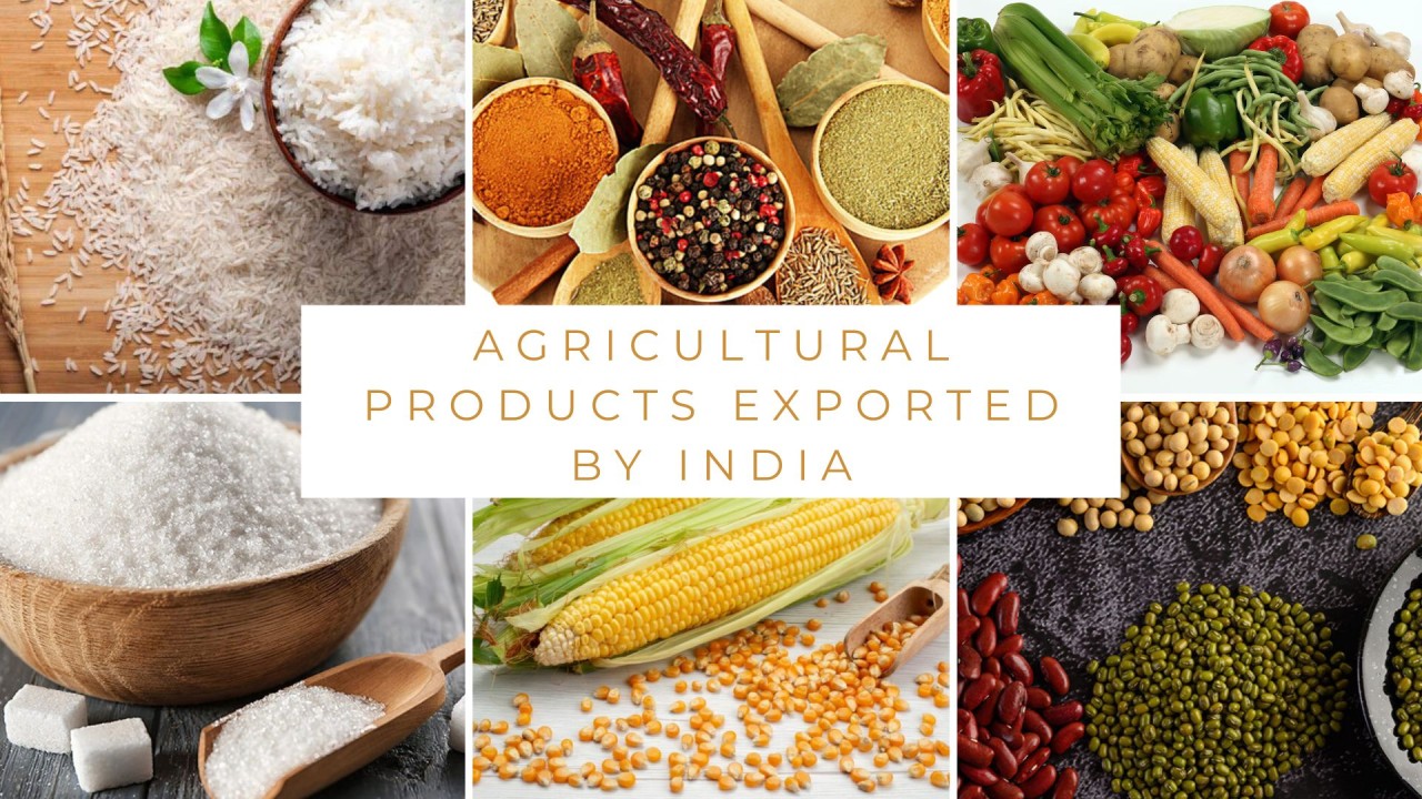 7 Top Agricultural Products Exported From India: A Land of Rich Flavors and Diverse Produce