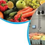 The Importance of Pre-cooling Fruits and Vegetables Before Export